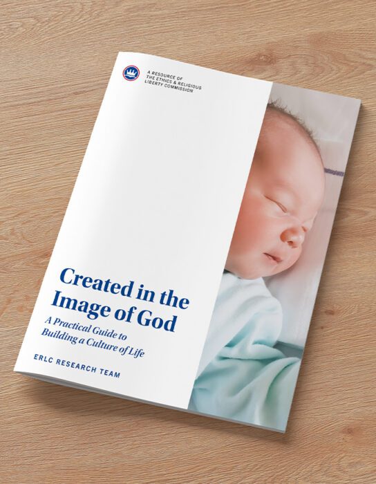 Created in the Image of God: A Practical Guide to Building a Culture of Life - Bulk Order (Sets of 10)